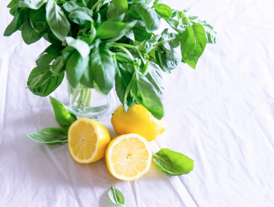 que-es-la-pomada-de-menorca limones para preparar la pomada de menorca